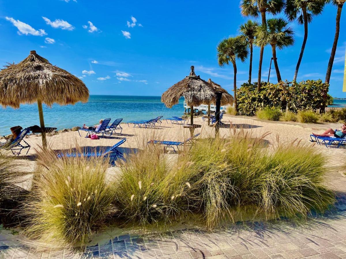 Condo Less Than 5 Min From Airport With Sunset Views Tampa Eksteriør bilde