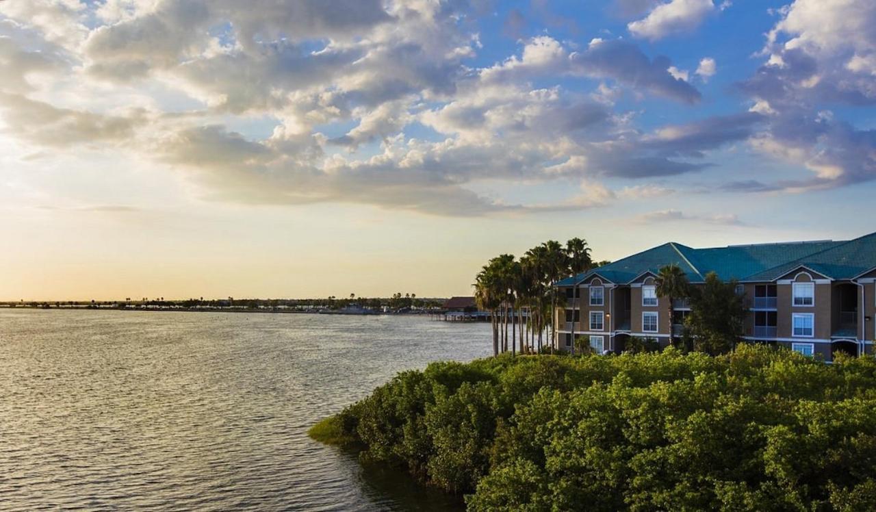 Condo Less Than 5 Min From Airport With Sunset Views Tampa Eksteriør bilde